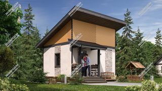 Дом в поселке Удельная одноэтажный 25,7 м² по проекту «Модерн» из СИП панелей | фото, отзывы, цена