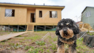 Дом в селе Вороново одноэтажный 117,3 м² из СИП панелей | фото, отзывы, цена
